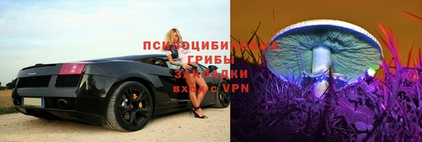 амф Мегион