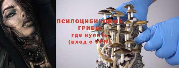дмт Медвежьегорск