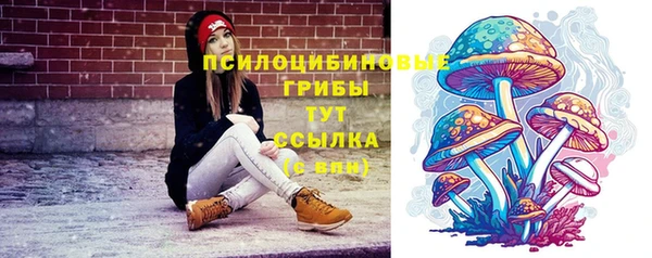 амф Мегион