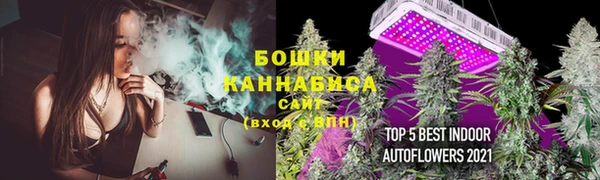 амф Мегион