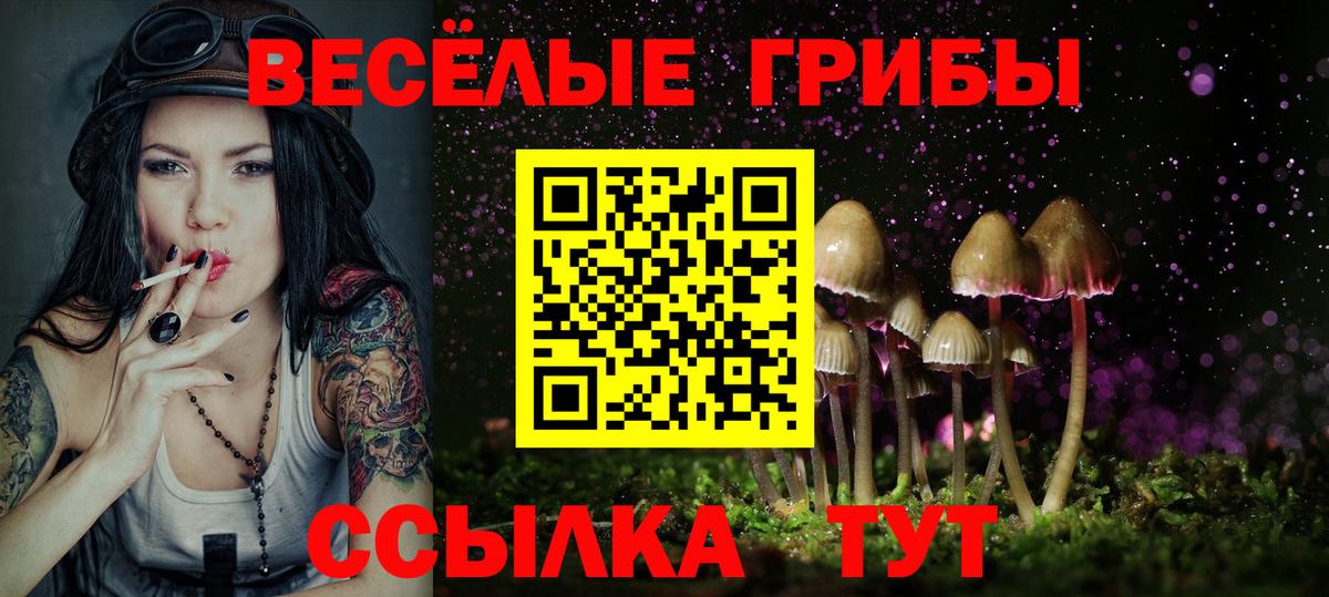 цены наркотик  Вход с VPN  Галлюциногенные грибы прущие грибы  Анжеро-Судженск  Псилоцибиновые грибы мухоморы 