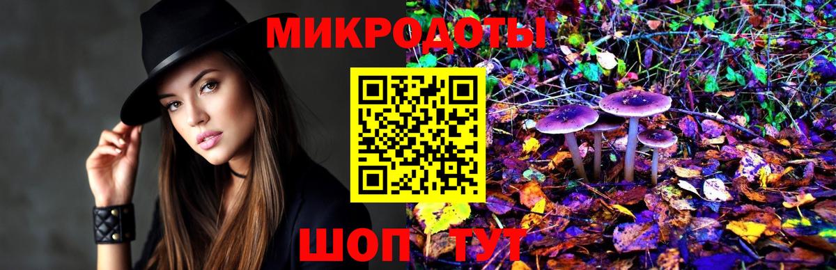 Псилоцибиновые грибы прущие грибы Анжеро-Судженск