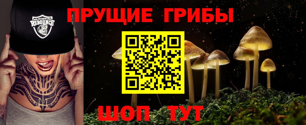 Псилоцибиновые грибы Psilocybine cubensis Анжеро-Судженск